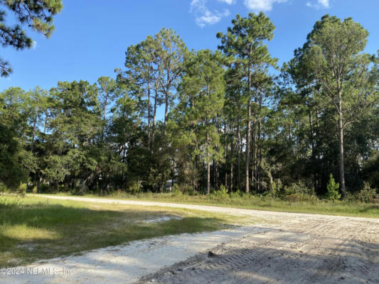 213 PONDEROSA PINE CT, GEORGETOWN, FL 32139 - Image 1