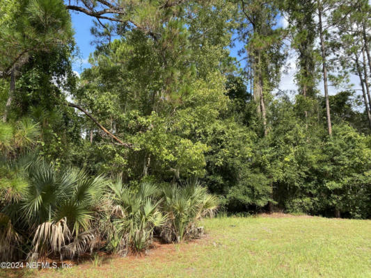 LOT 32 LONE LAUREL LANE, GEORGETOWN, FL 32112 - Image 1