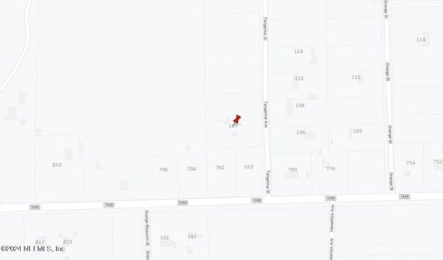 107 TANGERINE AVE, POMONA PARK, FL 32181 - Image 1