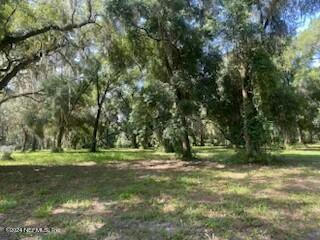 0 GREENWOOD AVENUE, WELAKA, FL 32193 - Image 1